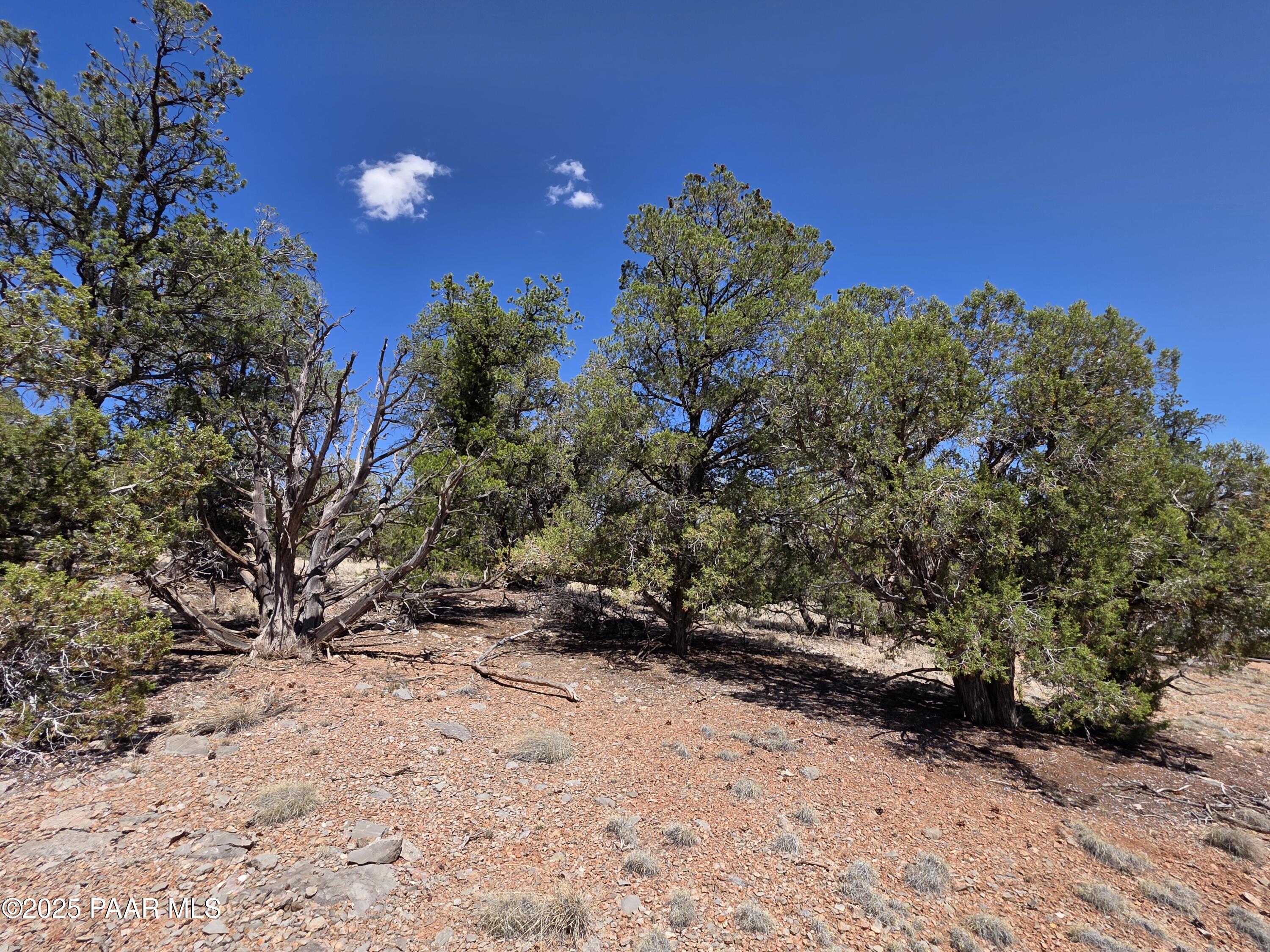 0 Ataway Road Seligman, AZ 86337 - Photo 16 of 21 20250525_142440