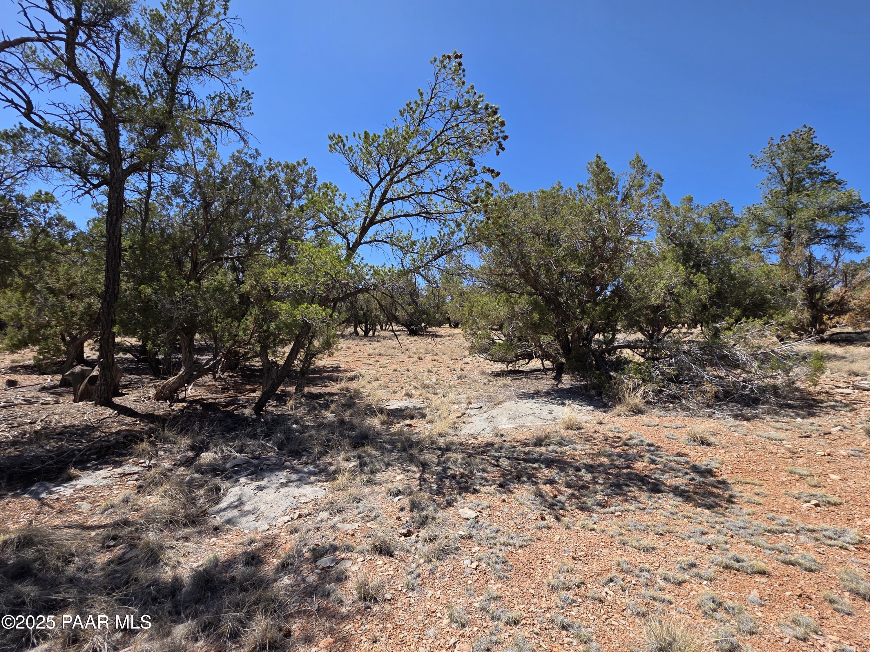0 Ataway Road Seligman, AZ 86337 - Photo 18 of 21 20250525_142454