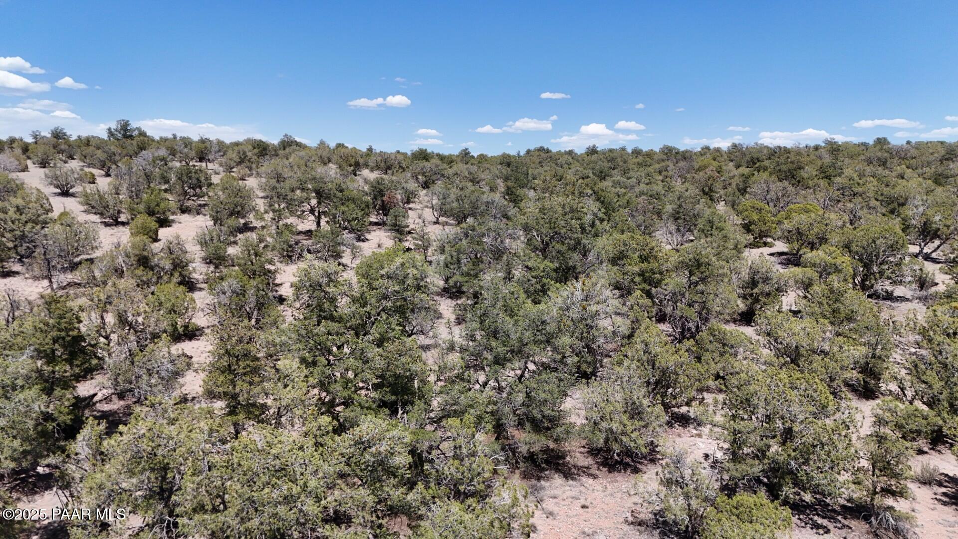 0 Ataway Road Seligman, AZ 86337 - Photo 19 of 21 DJI_20250526052542_0009_D (Large)