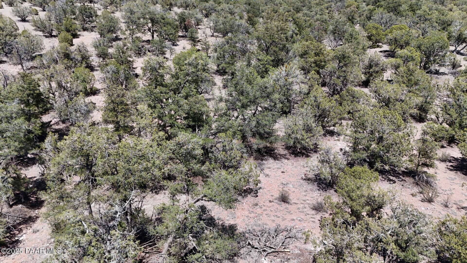 0 Ataway Road Seligman, AZ 86337 - Photo 20 of 21 DJI_20250526052545_0010_D (Large)