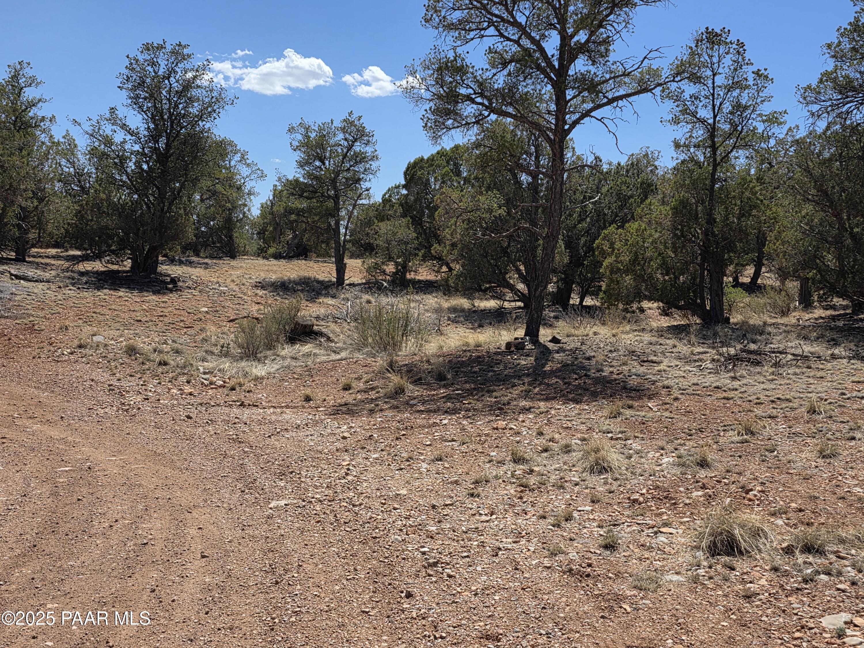 0 Ataway Road Seligman, AZ 86337 - Photo 2 of 21 20250525_142146