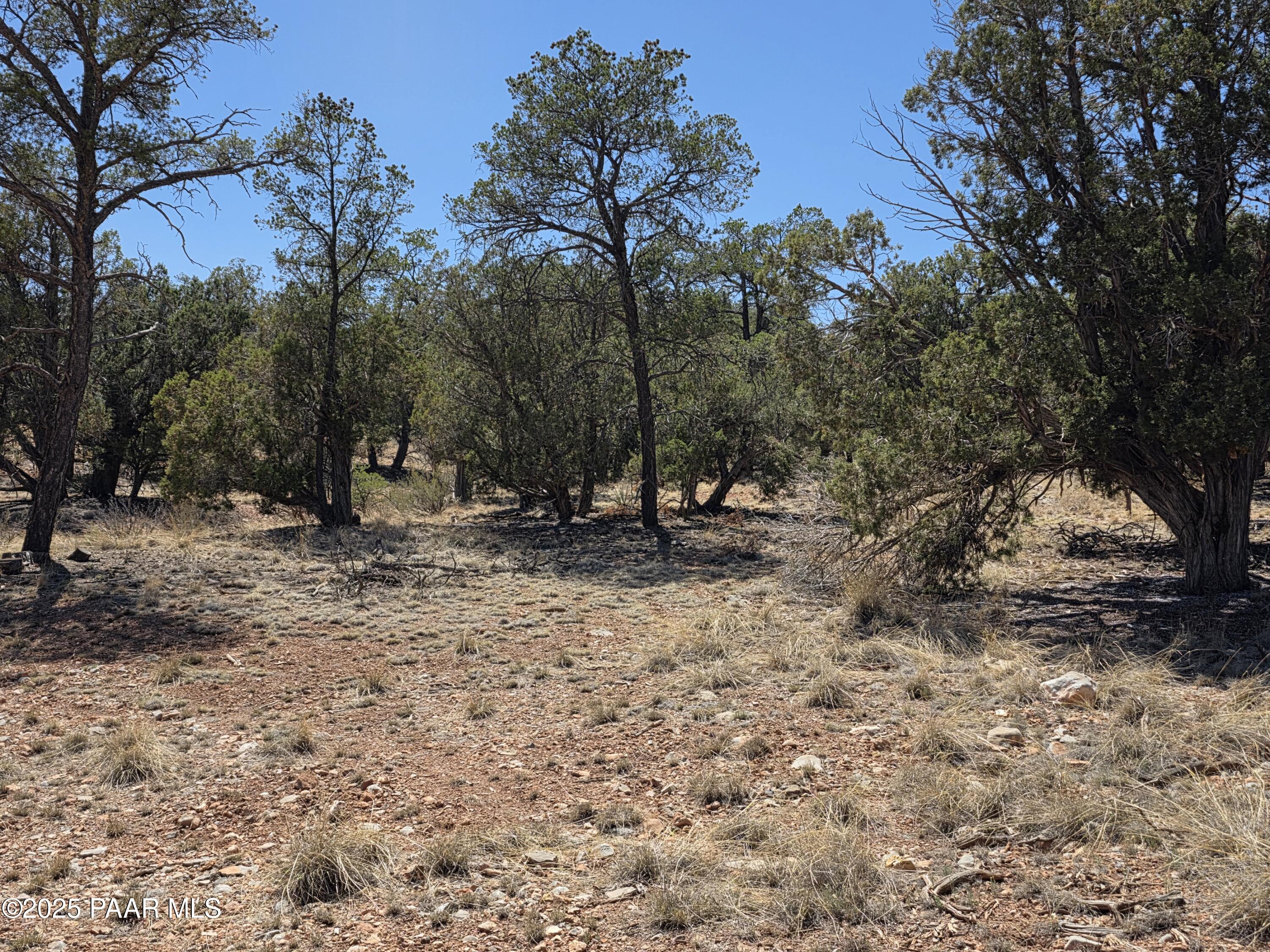 0 Ataway Road Seligman, AZ 86337 - Photo 3 of 21 20250525_142148