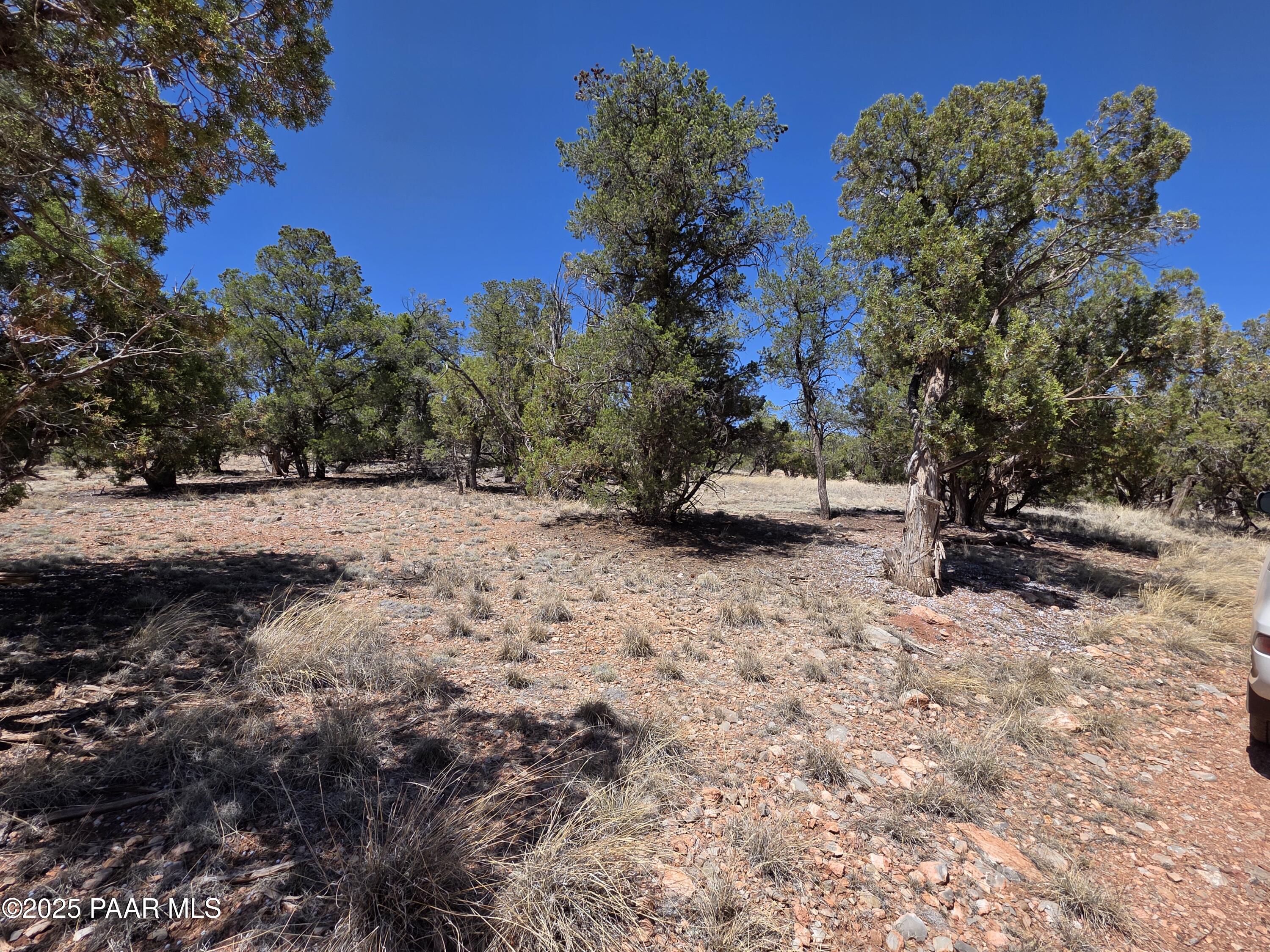 0 Ataway Road Seligman, AZ 86337 - Photo 4 of 21 20250525_142155
