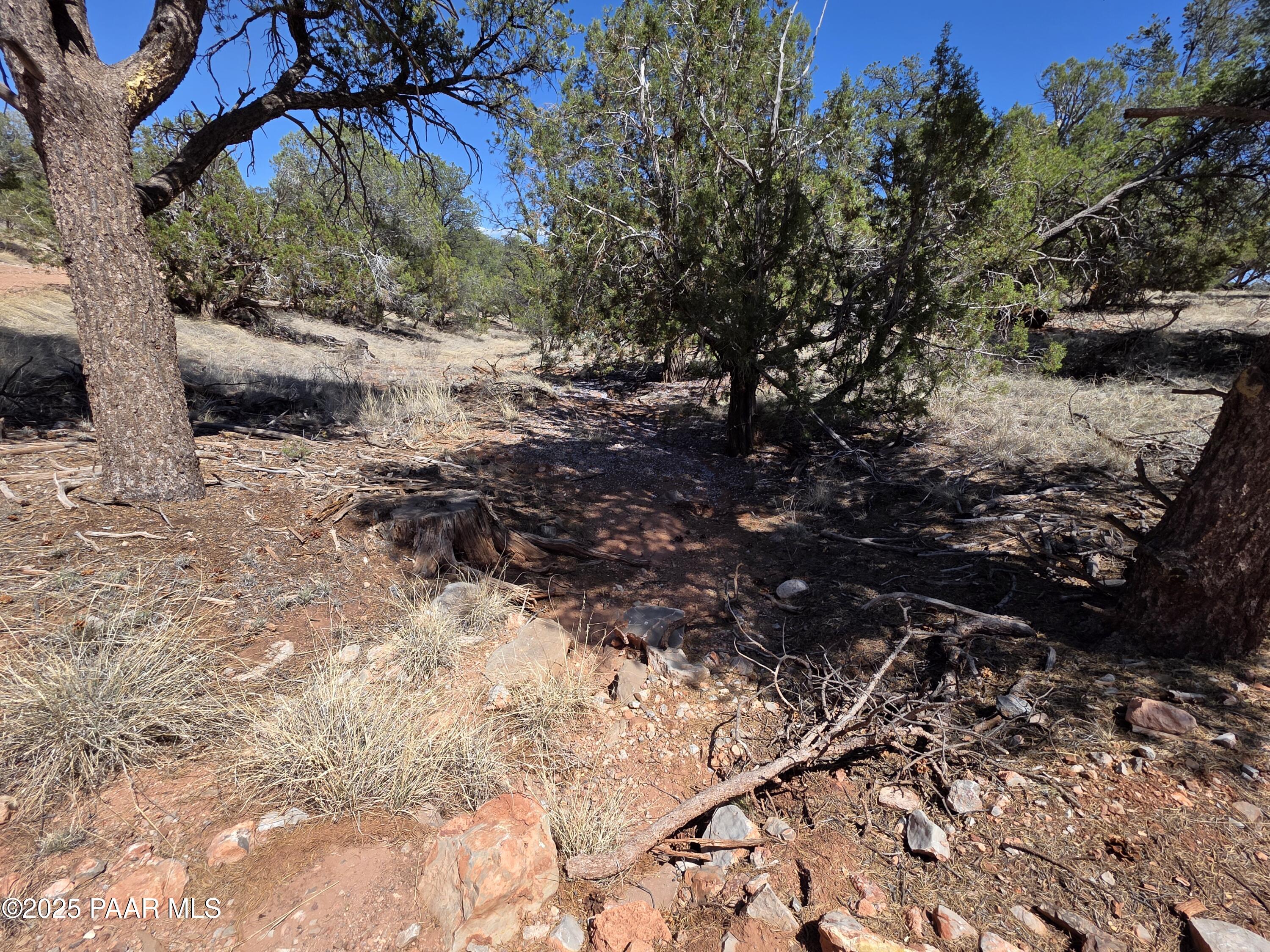 0 Ataway Road Seligman, AZ 86337 - Photo 7 of 21 20250525_142220