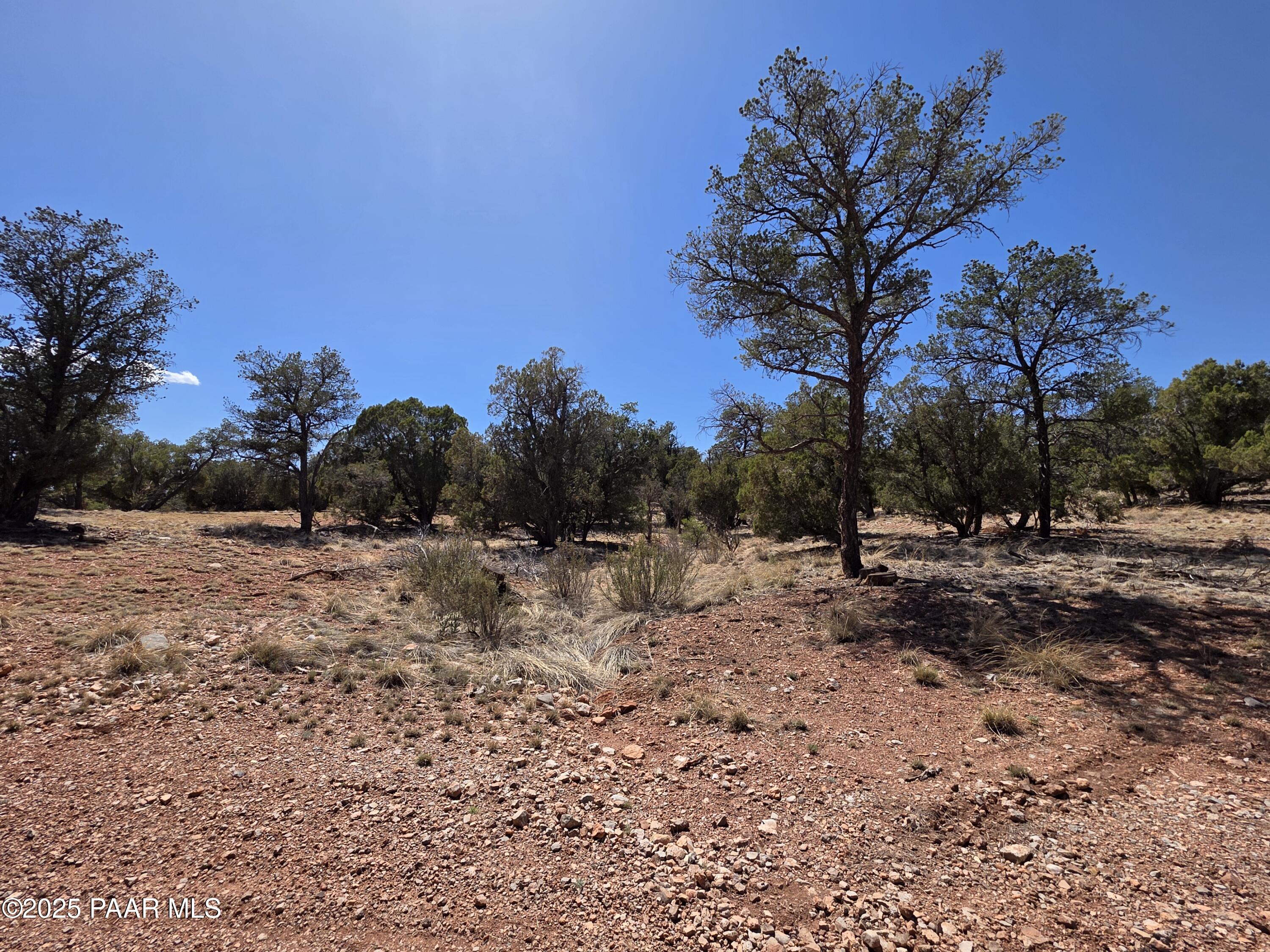 0 Ataway Road Seligman, AZ 86337 - Photo 10 of 21 20250525_142230