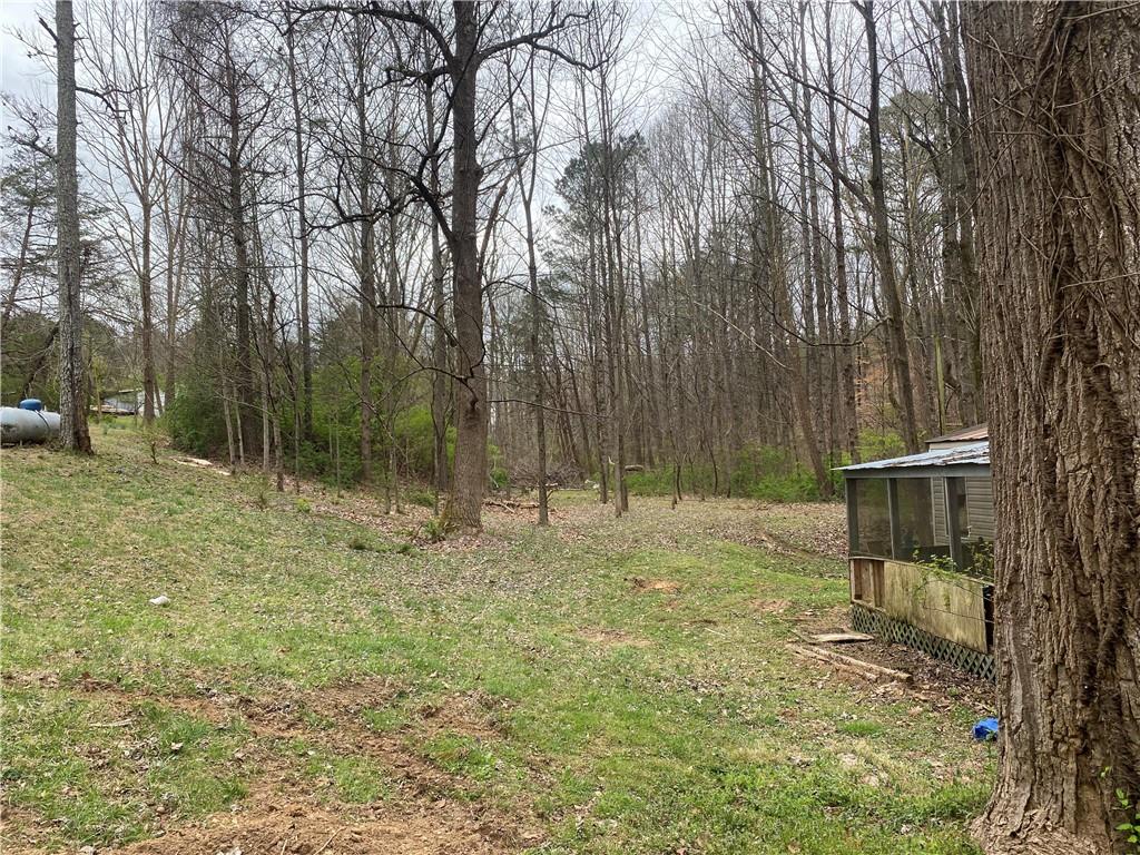 247 Tatum Road Talking Rock, GA 30175 - Photo 12 of 25