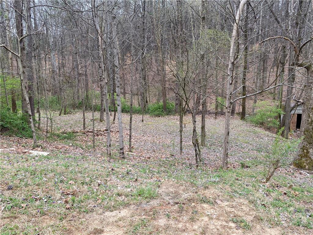 247 Tatum Road Talking Rock, GA 30175 - Photo 13 of 25