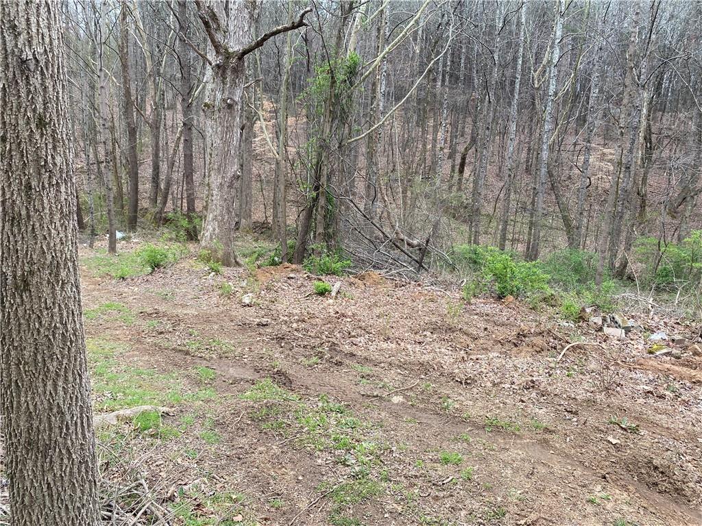 247 Tatum Road Talking Rock, GA 30175 - Photo 16 of 25