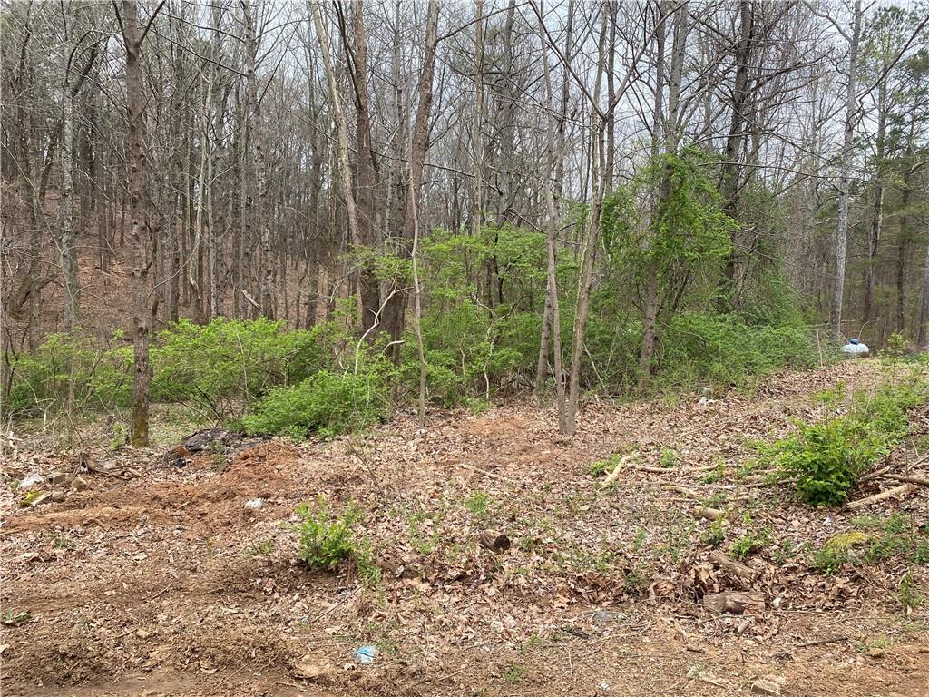 247 Tatum Road Talking Rock, GA 30175 - Photo 17 of 25