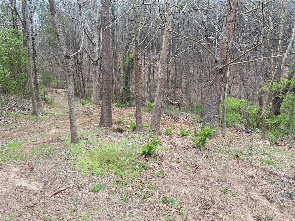 247 Tatum Road Talking Rock, GA 30175 - Photo 18 of 25