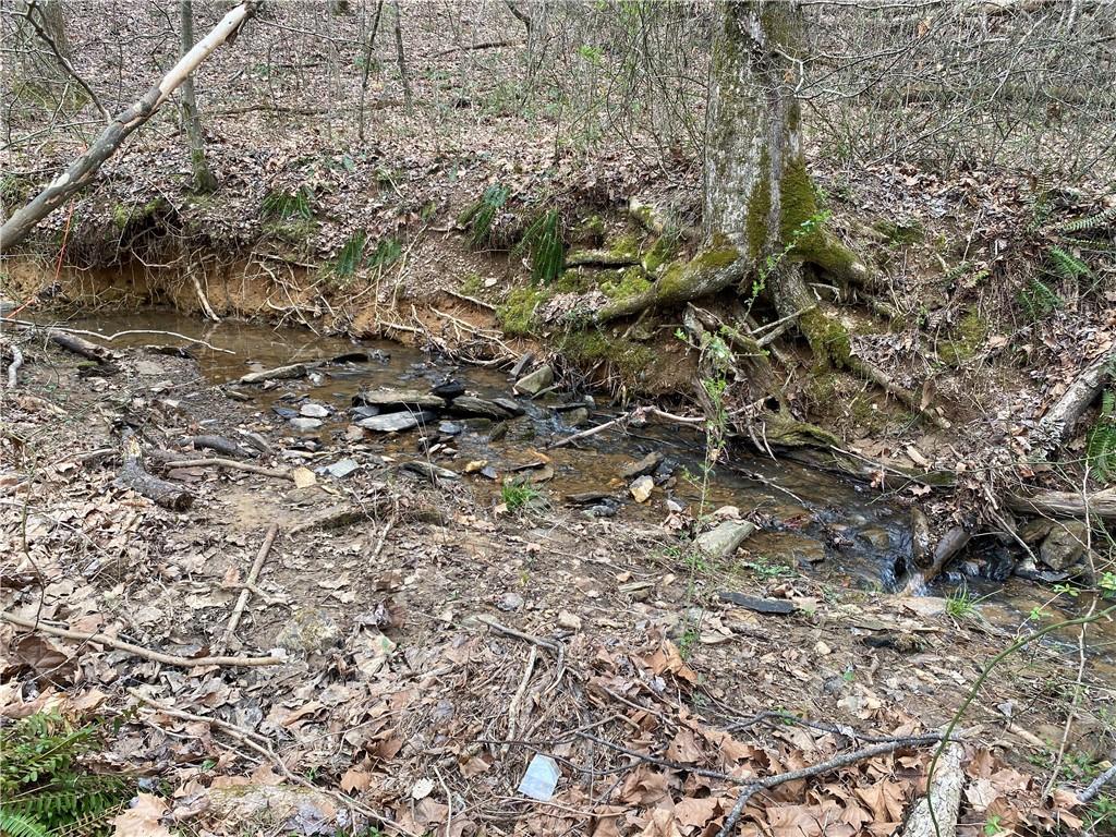 247 Tatum Road Talking Rock, GA 30175 - Photo 20 of 25