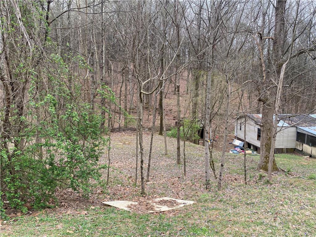 247 Tatum Road Talking Rock, GA 30175 - Photo 2 of 25