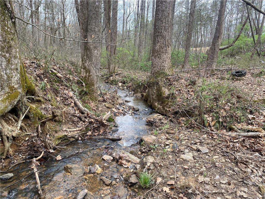 247 Tatum Road Talking Rock, GA 30175 - Photo 21 of 25