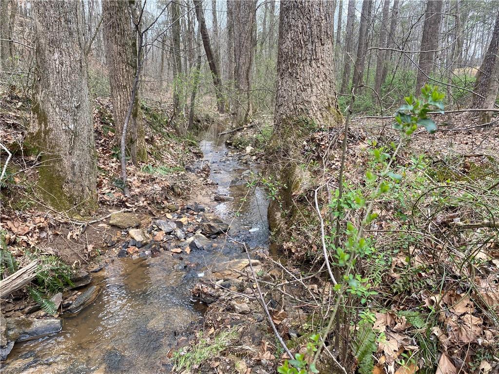 247 Tatum Road Talking Rock, GA 30175 - Photo 22 of 25