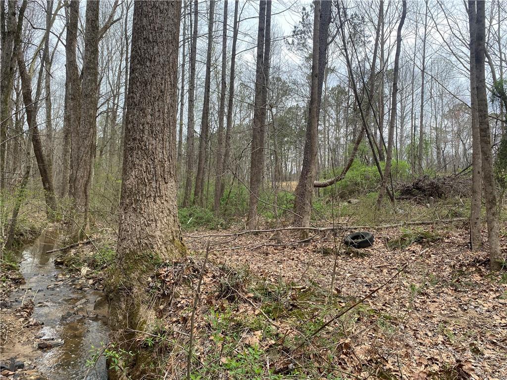 247 Tatum Road Talking Rock, GA 30175 - Photo 23 of 25