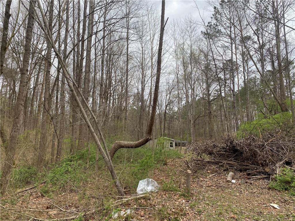 247 Tatum Road Talking Rock, GA 30175 - Photo 24 of 25