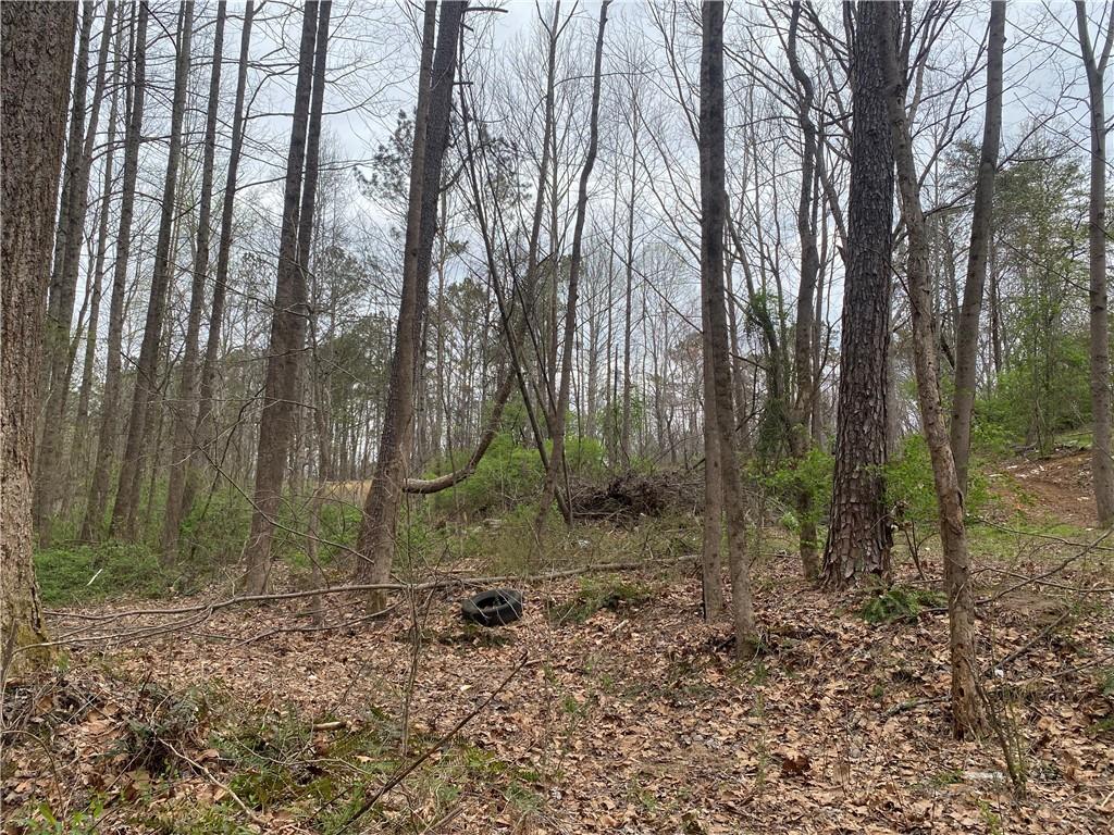 247 Tatum Road Talking Rock, GA 30175 - Photo 25 of 25