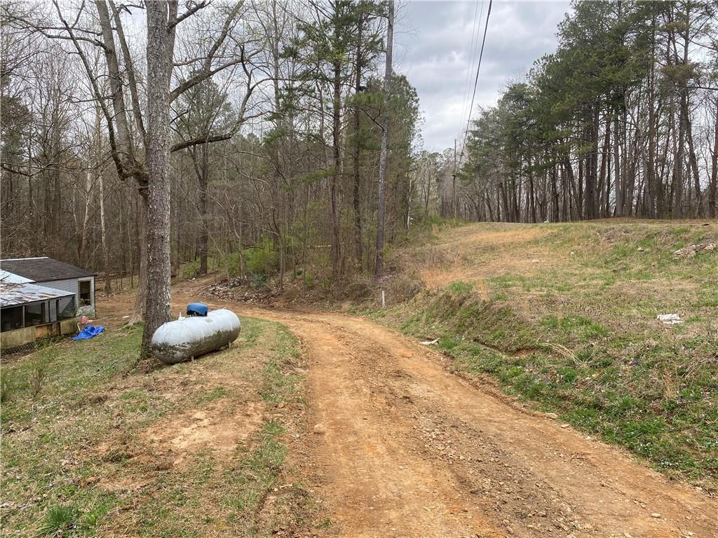 247 Tatum Road Talking Rock, GA 30175 - Photo 3 of 25