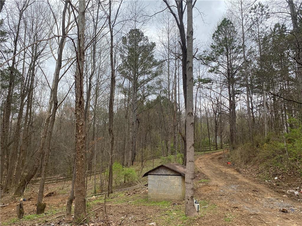 247 Tatum Road Talking Rock, GA 30175 - Photo 4 of 25