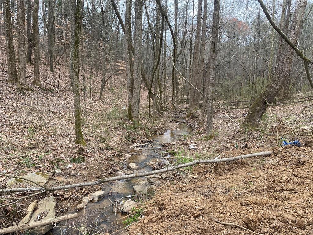 247 Tatum Road Talking Rock, GA 30175 - Photo 5 of 25