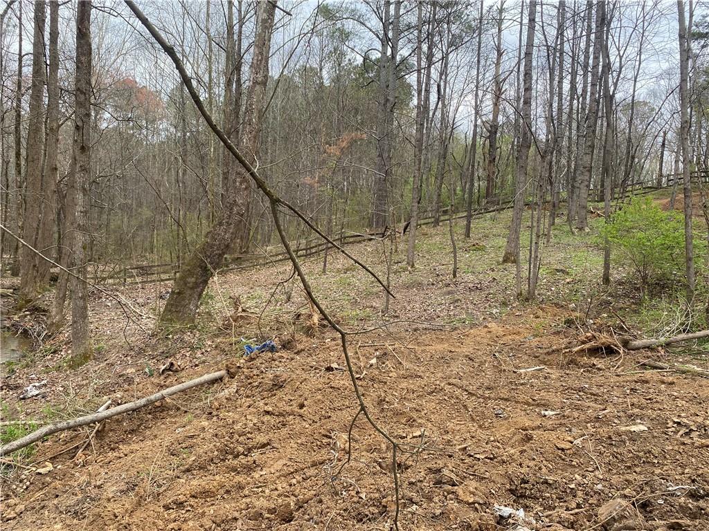 247 Tatum Road Talking Rock, GA 30175 - Photo 6 of 25