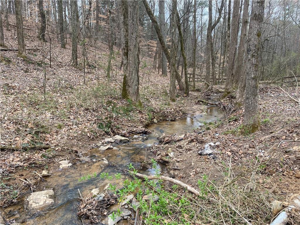 247 Tatum Road Talking Rock, GA 30175 - Photo 7 of 25