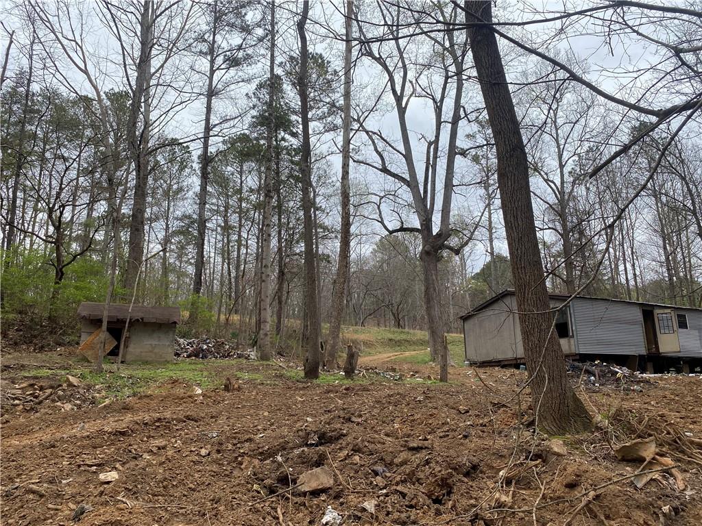 247 Tatum Road Talking Rock, GA 30175 - Photo 8 of 25