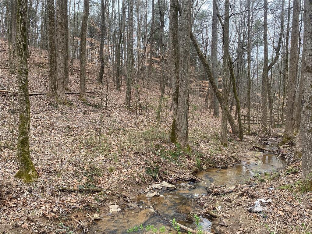 247 Tatum Road Talking Rock, GA 30175 - Photo 10 of 25