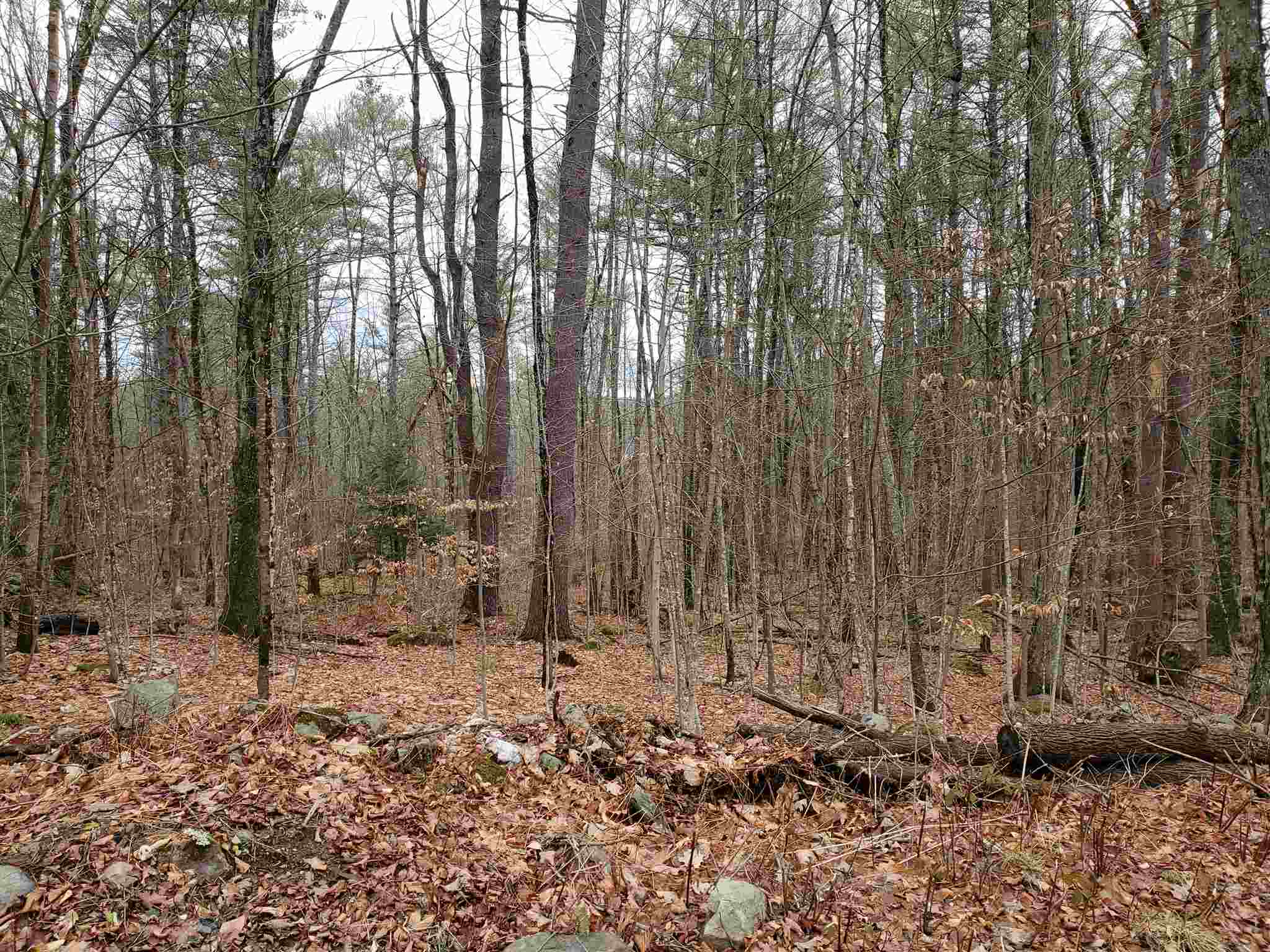 0 Hatt Road Westmoreland, NH 03467 - Photo 3 of 5