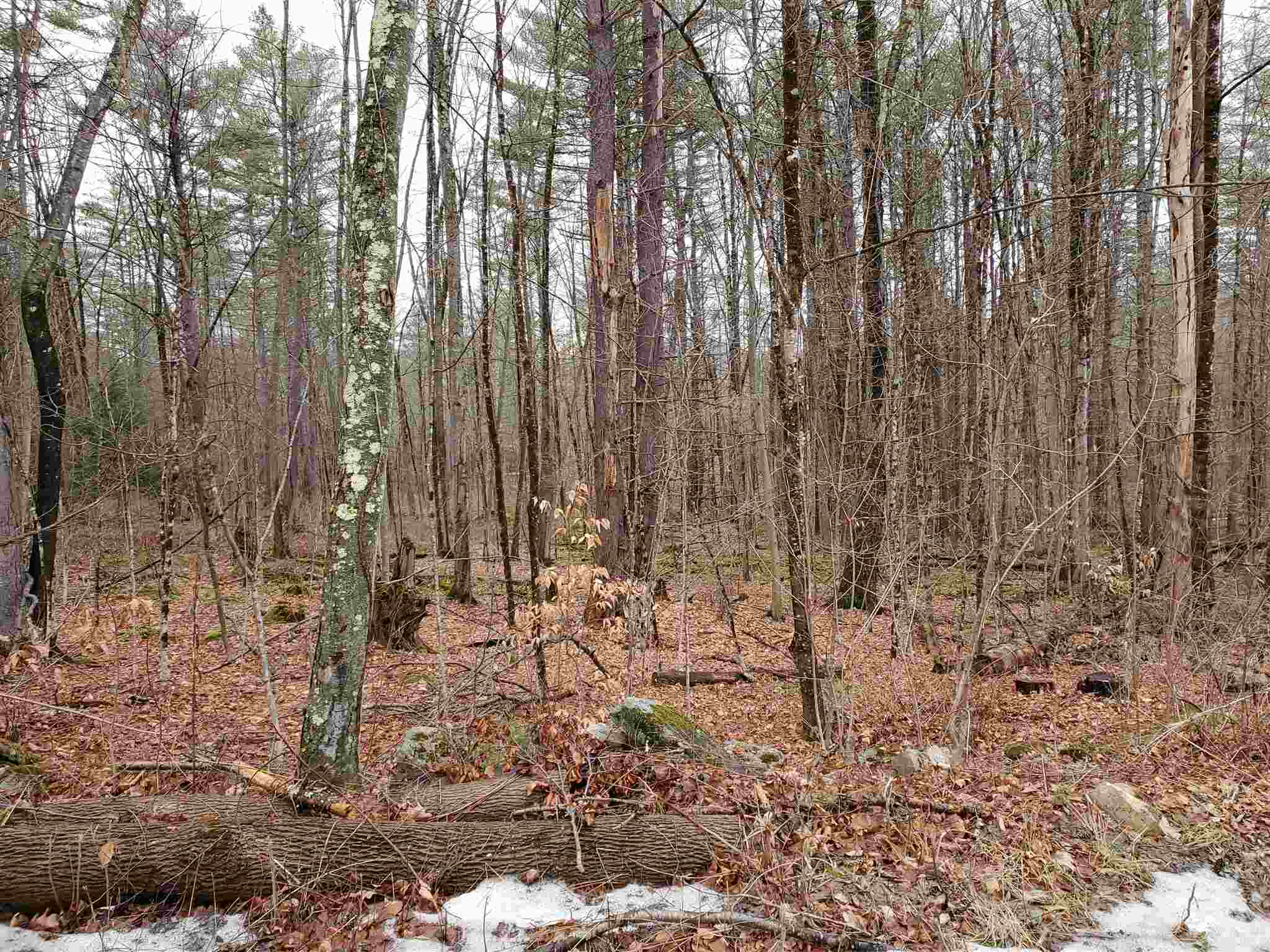 0 Hatt Road Westmoreland, NH 03467 - Photo 4 of 5