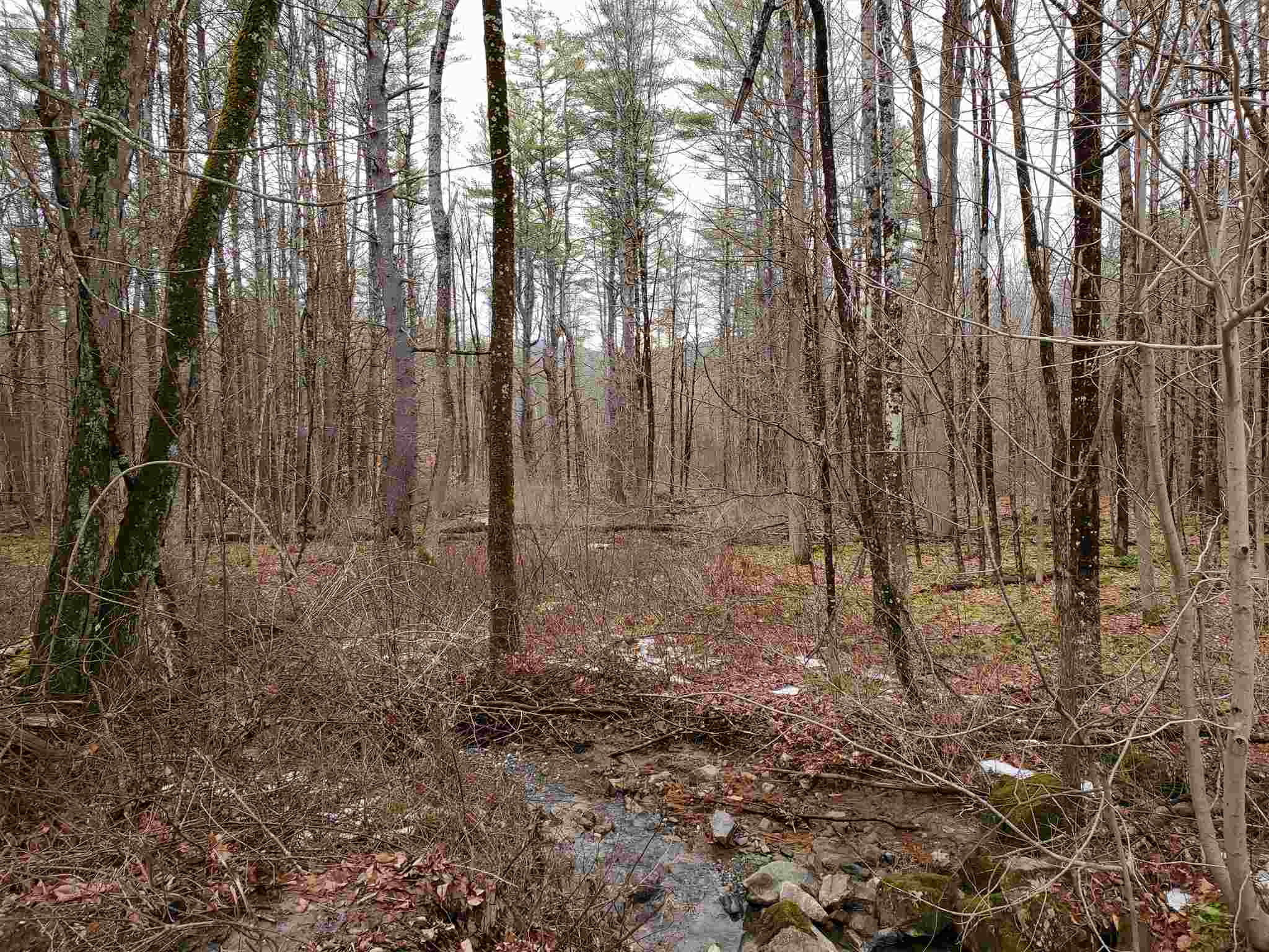 0 Hatt Road Westmoreland, NH 03467 - Photo 5 of 5