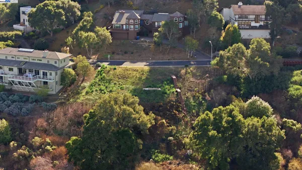 a view of a garden with plants