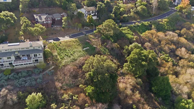 a view of a garden with plants