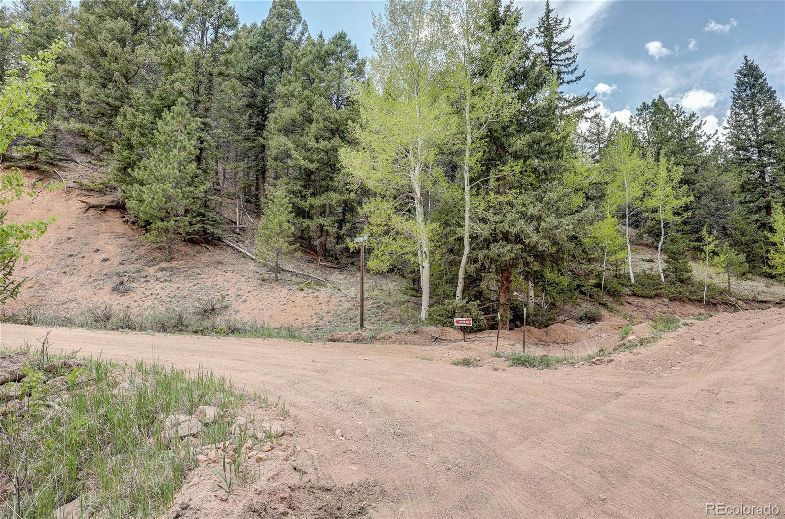 59 Robin Point Divide, CO 80814 - Photo 12 of 30 a view of a yard with a tree