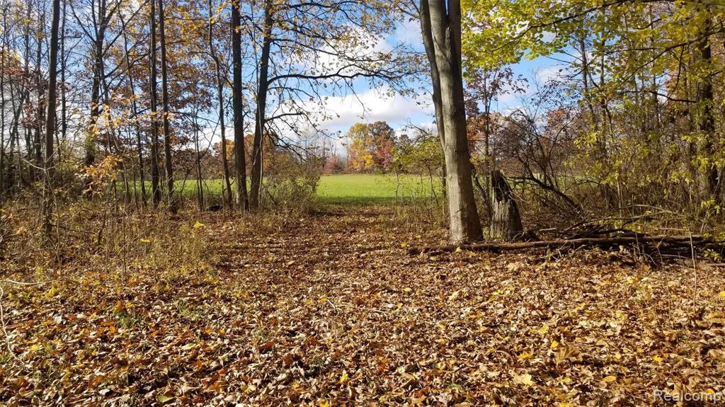 6575 East Clyde Road Howell, MI 48855 - Photo 10 of 14
