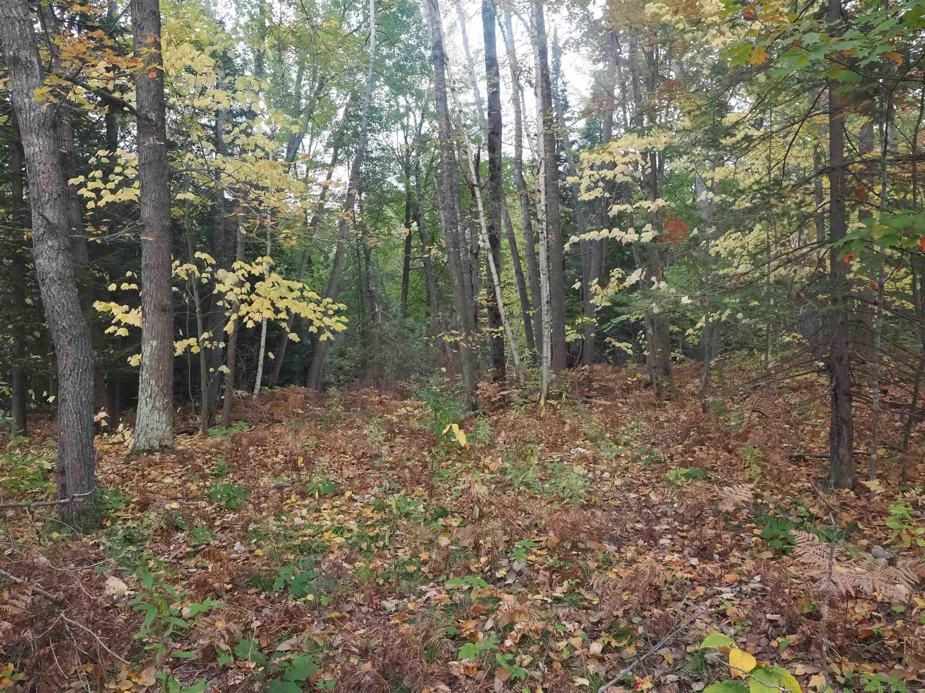 Xxx Tolan Road Spruce, MI 48762 - Photo 59 of 79
