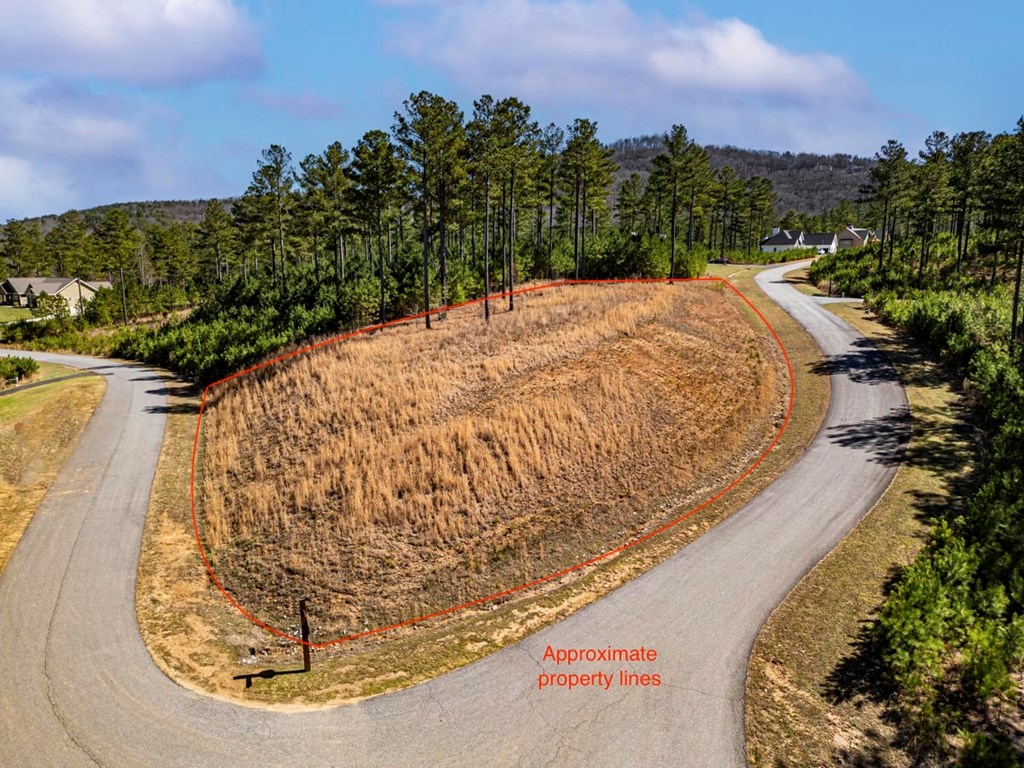 0 Loop Lane Blairsville, GA 30512 - Photo 2 of 7