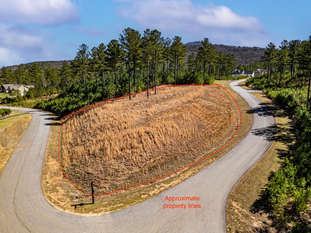0 Loop Lane Blairsville, GA 30512 - Photo 3 of 7