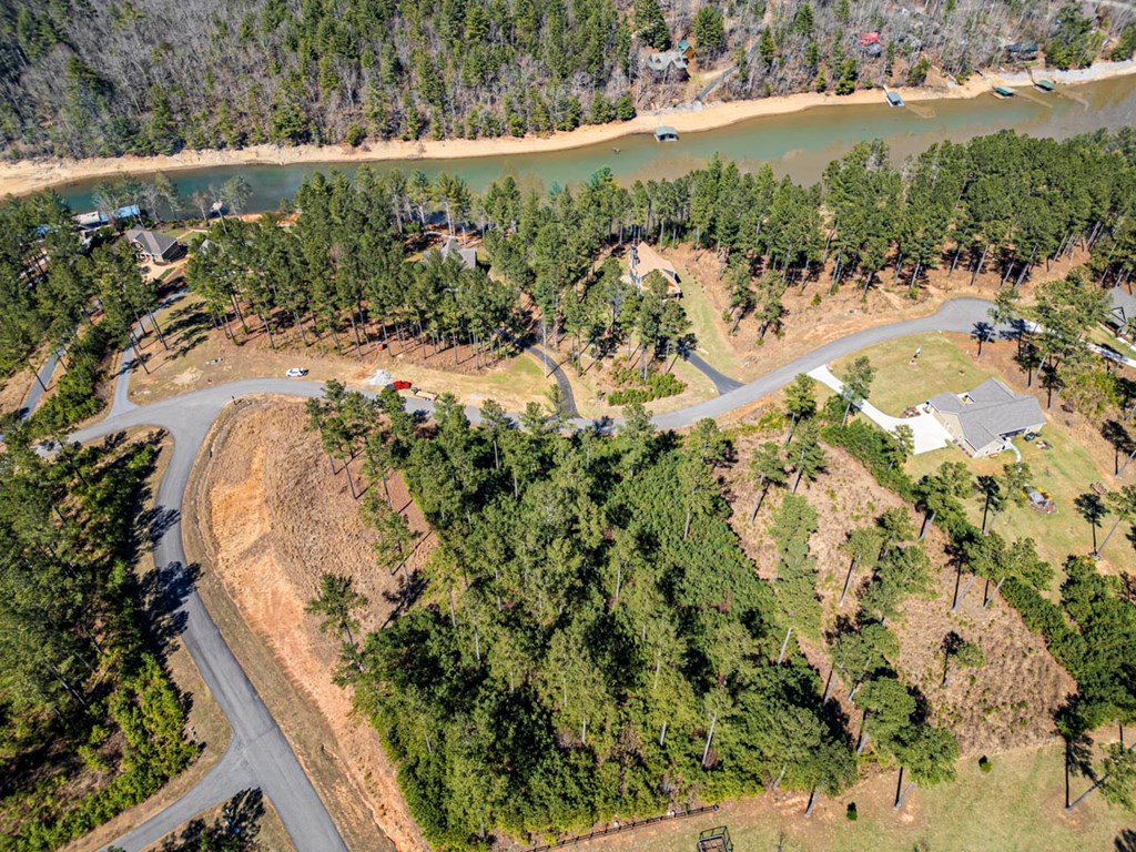 0 Loop Lane Blairsville, GA 30512 - Photo 6 of 7