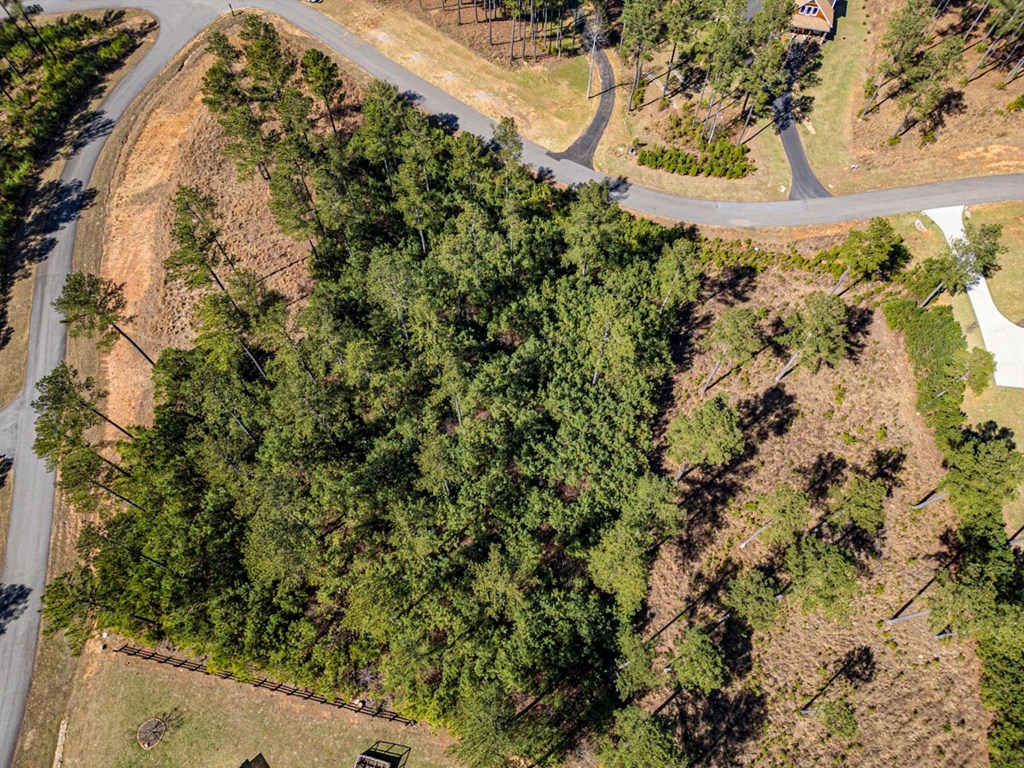 0 Loop Lane Blairsville, GA 30512 - Photo 7 of 7