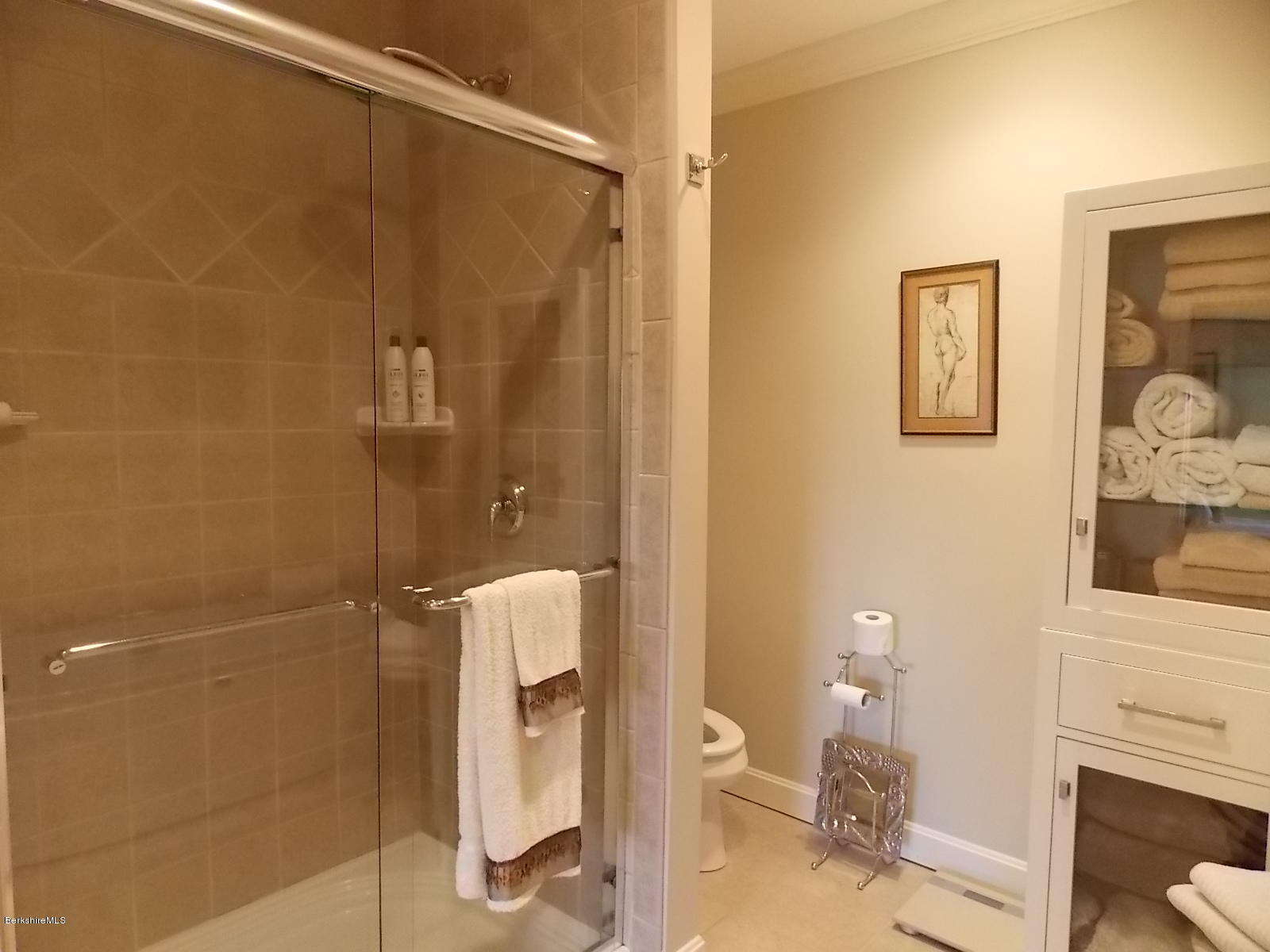 9 High Crest Road, Unit 9 Lenox, MA 01240 - Photo 22 of 54 master bath shower
