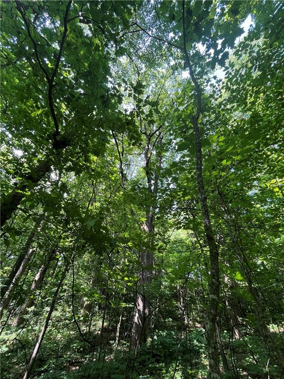 0 Monument Road Jasper, GA 30143 - Photo 9 of 9