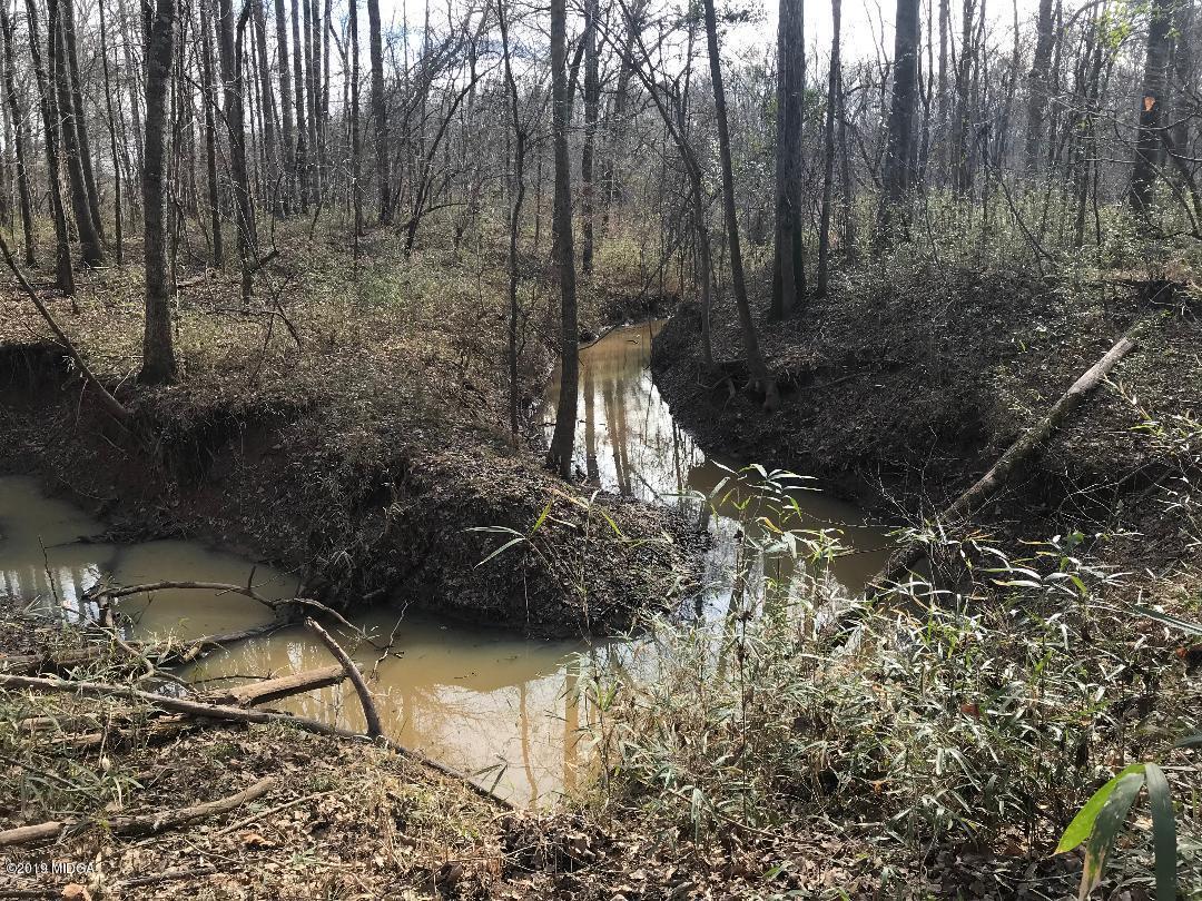 0 Jarrell Plantation Road Juliette, GA 31046 - Photo 23 of 27 Left property line creek