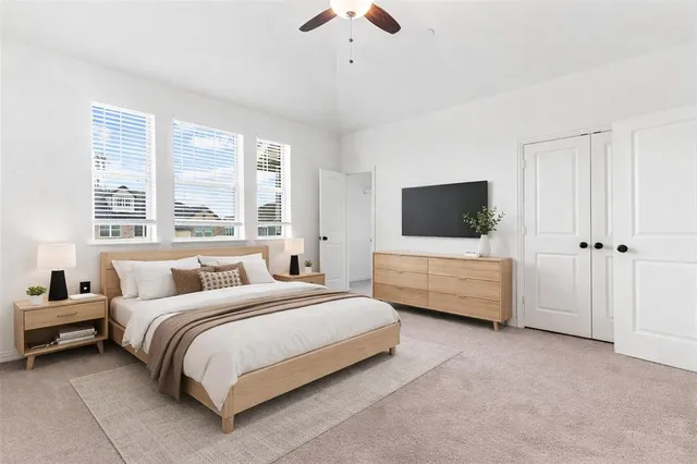 a bedroom with bed tv and window