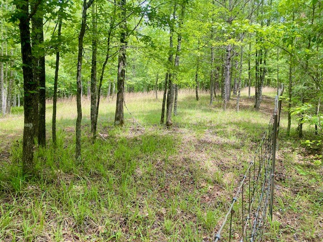 0 Pete Johnson Road Tignall, GA 30668 - Photo 15 of 43 15+/- acres Fenced in for Goats