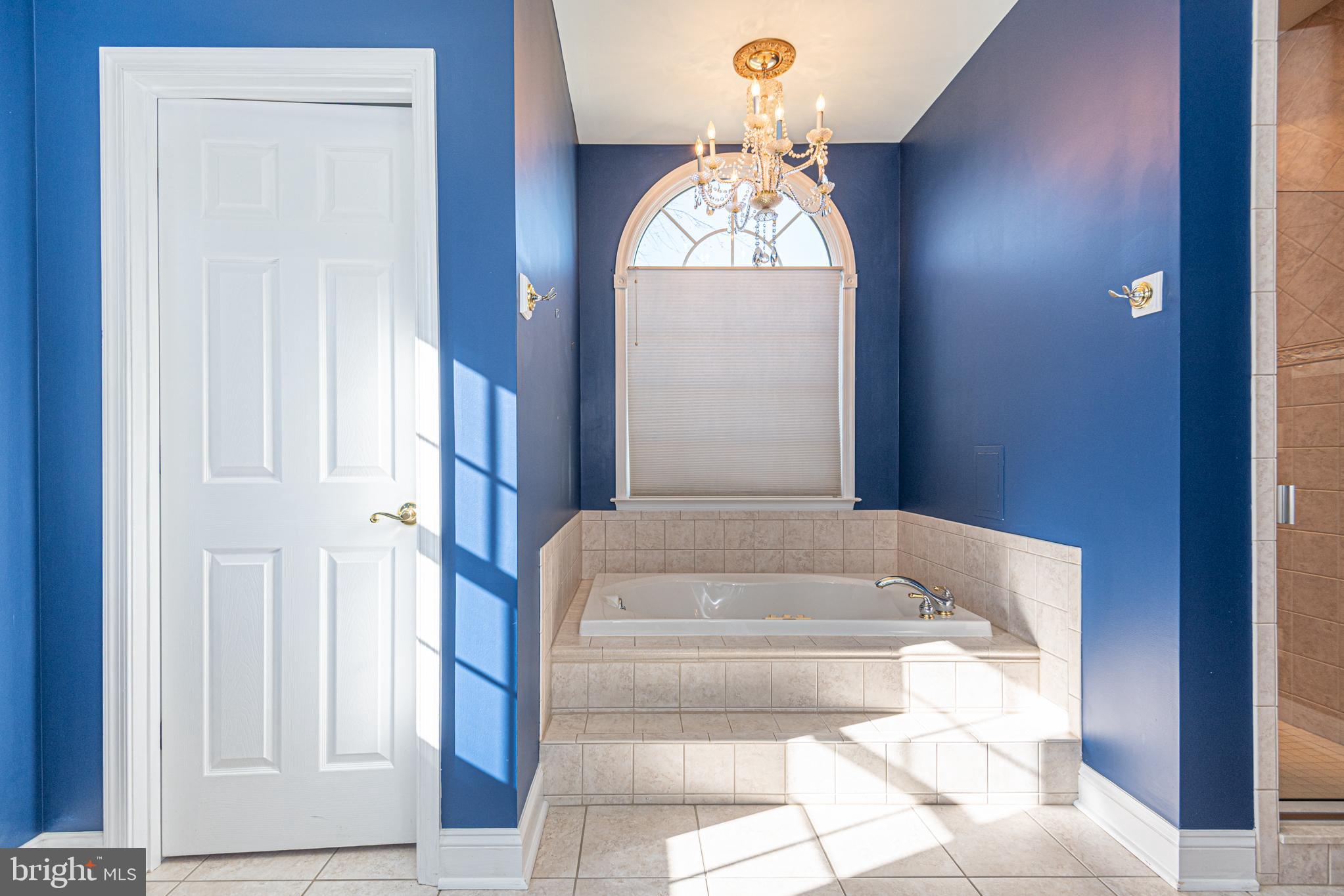 6023 Tarry Town Road Salisbury, MD 21801 - Photo 24 of 61 Elegant blue bathroom with natural light.
