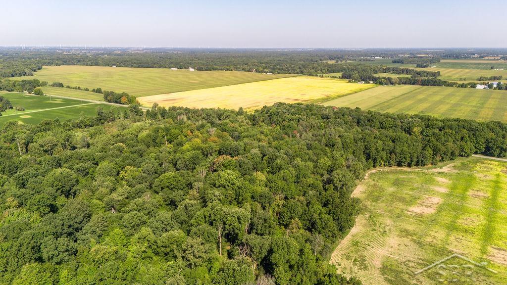 Vl West Ithaca Road Brant, MI 48614 - Photo 11 of 16 50121415-10.JPG