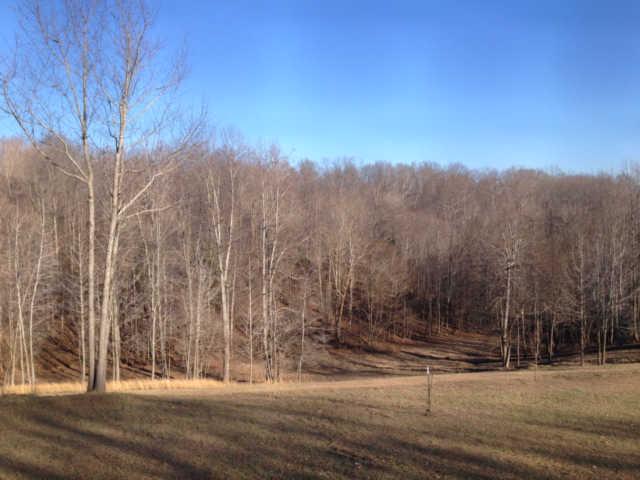 1 Graham Cemetery Road Clarksville, TN 37043 - Photo 3 of 4 1 Graham Cemetery Road - 5 acres with deer and turkey
