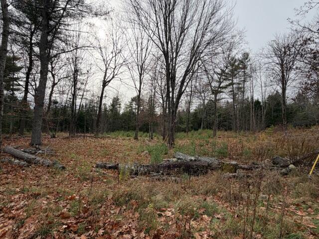 590 Hanson Road South China, ME 04358 - Photo 5 of 17 IMG_7118