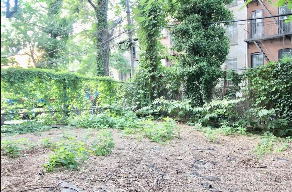 1595 Union Street Brooklyn, NY 11213 - Photo 20 of 21 a view of a yard with plants and large trees